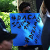 DACA