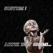 sustum12.JPG