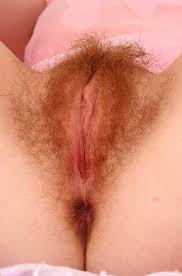 Hairy redhead fuck jpg x Redhead hairy