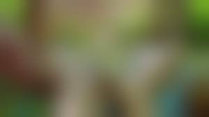 young nudist cumnudist girls showering|Amateur nudist girl swallows some cum at a beautiful beach | voyeurstyle.com