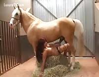 Horse fucks skinny slut luxuretv jpg x Lady fucks horse