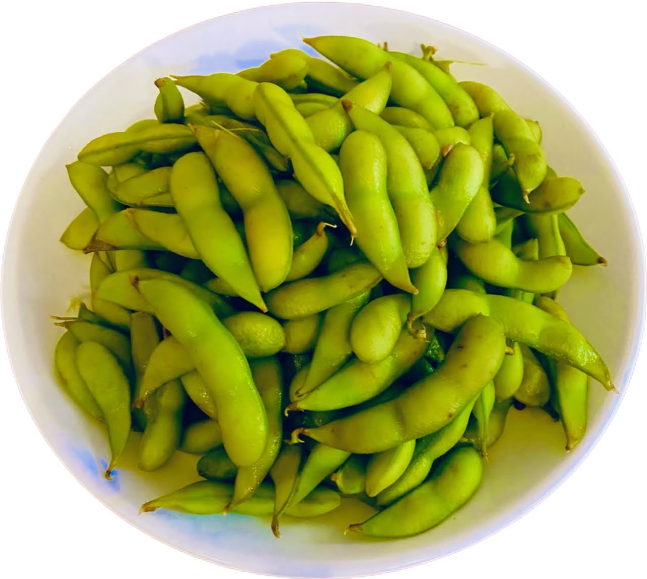 Ikimono Ramen by null