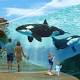 Selling SeaWorld Orlando Would Be Stupid 
