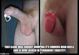 Search permanent chastity jpg x Permanent chastity