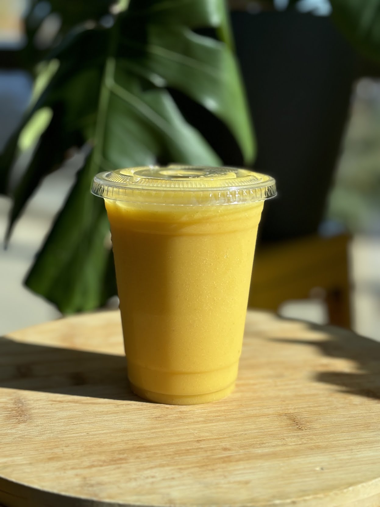 Conscious Plates by null