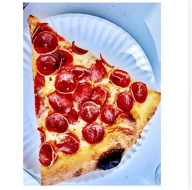 Little Coyote by null