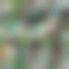 pansted girl|Funny Girls Compilation Skirt Pantsing Down Fail - Top Funny Top Pranks  2023 Part1 - Vidéo Dailymotion