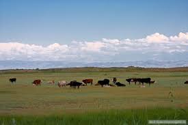 و فراموشی خاک