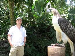 philippine eagle