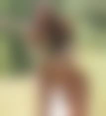 Bottomles TeensDaughter upskirt|Upskirt Girls - bottomless | MOTHERLESS.COM ™