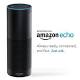 Amazon lets you access Alexa on the web via Echosim.io 