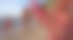 cfnm beach cock|Forced public CFNM erection masturbation on the beach - she just loves  making him get naked and handle his cock to get it hard for her viewing  pleasure out in the open! |