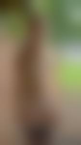 little  amateur nude|Adorable amateur flashes her little tits and clean shaved pussy