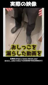 女児　おしっこ|トレーニングパンツ 5枚セット 6層 100 110 トイレトレーニングパンツ ベビー 赤ちゃん 子供 男の子 女の子 おねしょ対策 ポイント消化 :  mitas - 通販 - Yahoo!ショッピング