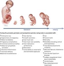 LS BD preteen sex|Exploring Parenting Styles Patterns and Children&rsquo;s Socio-Emotional  Skills