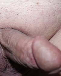 Shaved cock porn pics pictoa jpg x Shaved cock