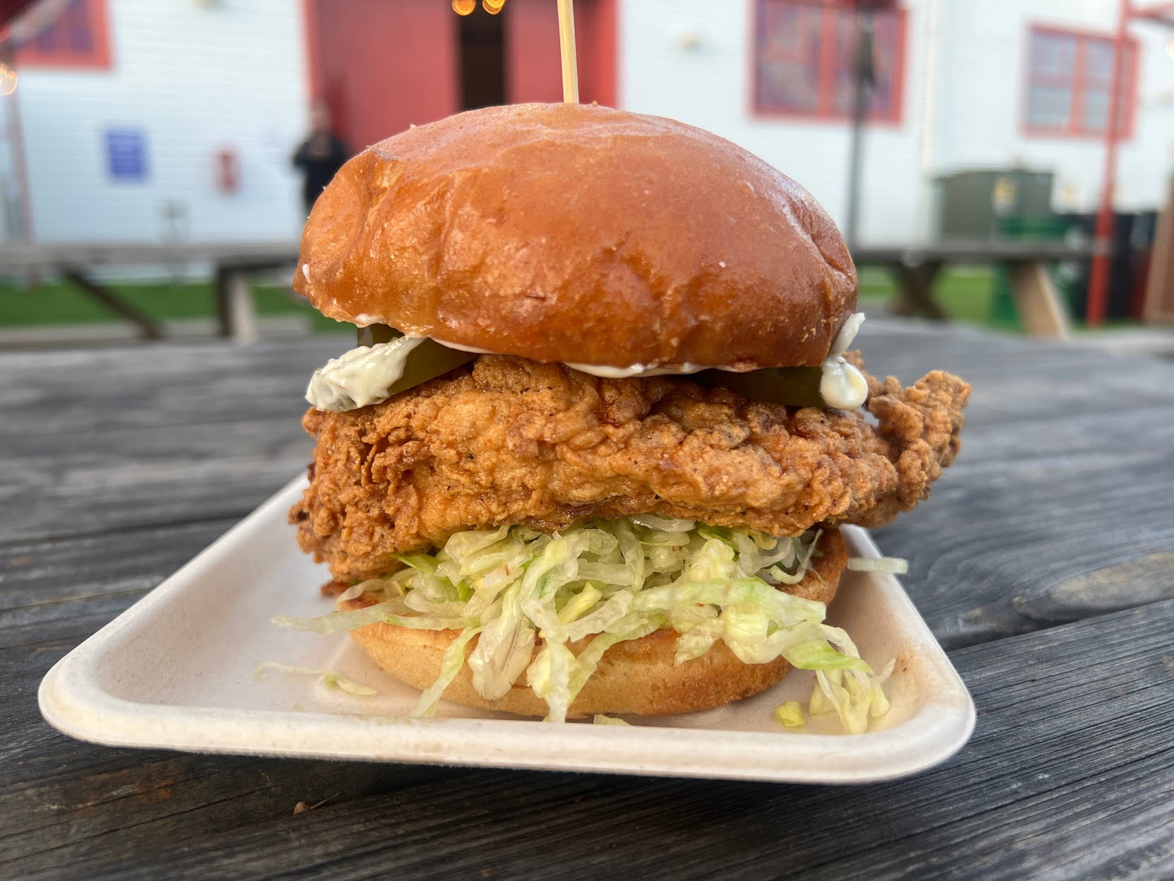 Scolari's Good Eats by null