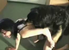 Home of dog sex dog fuck girls jpg x Girls fuck dogs