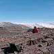 Oldest fossils on Earth discovered in 3.7 billion-year-old Greenland rock 