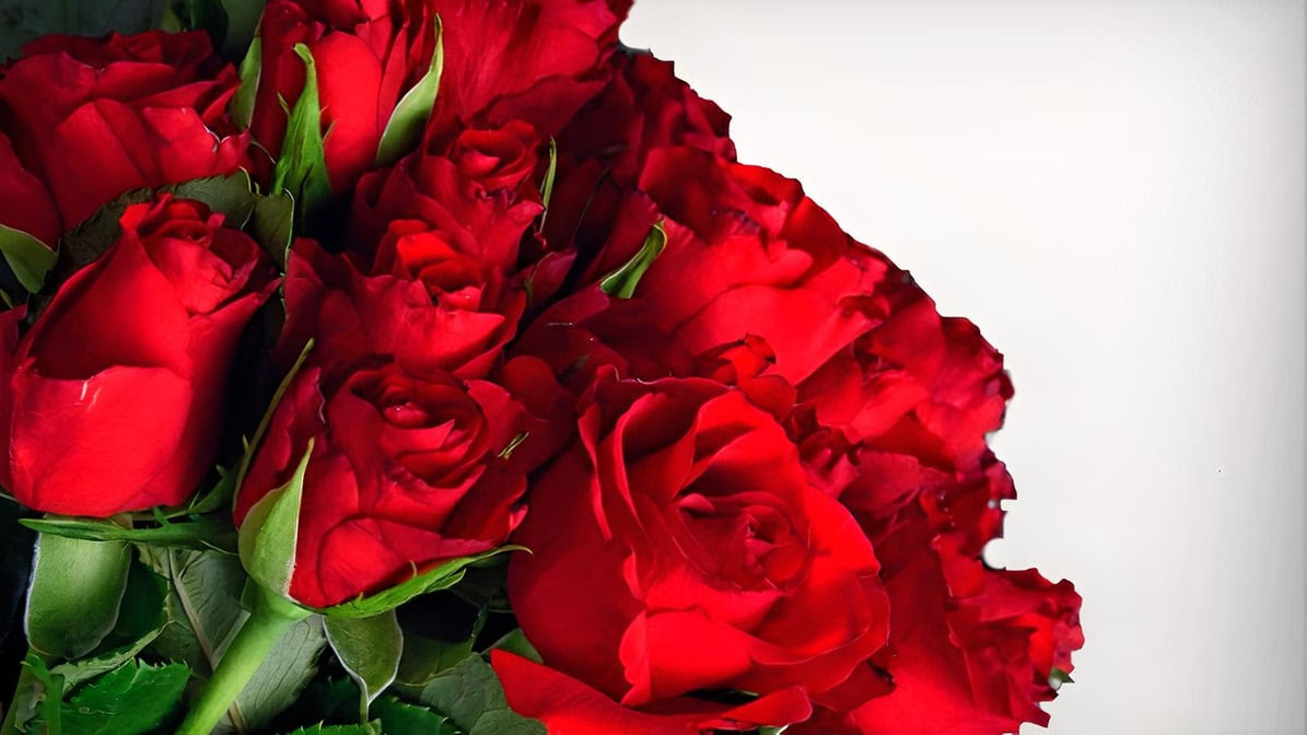 Flower Outlet & Gifts by null