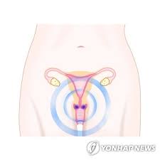 12변녀|20대 남성 신상 공개…휴대전화에서 '아동 성 착취물' 수천 건