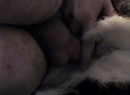 Human male fucks yiff deer jpg x Man fucks deer