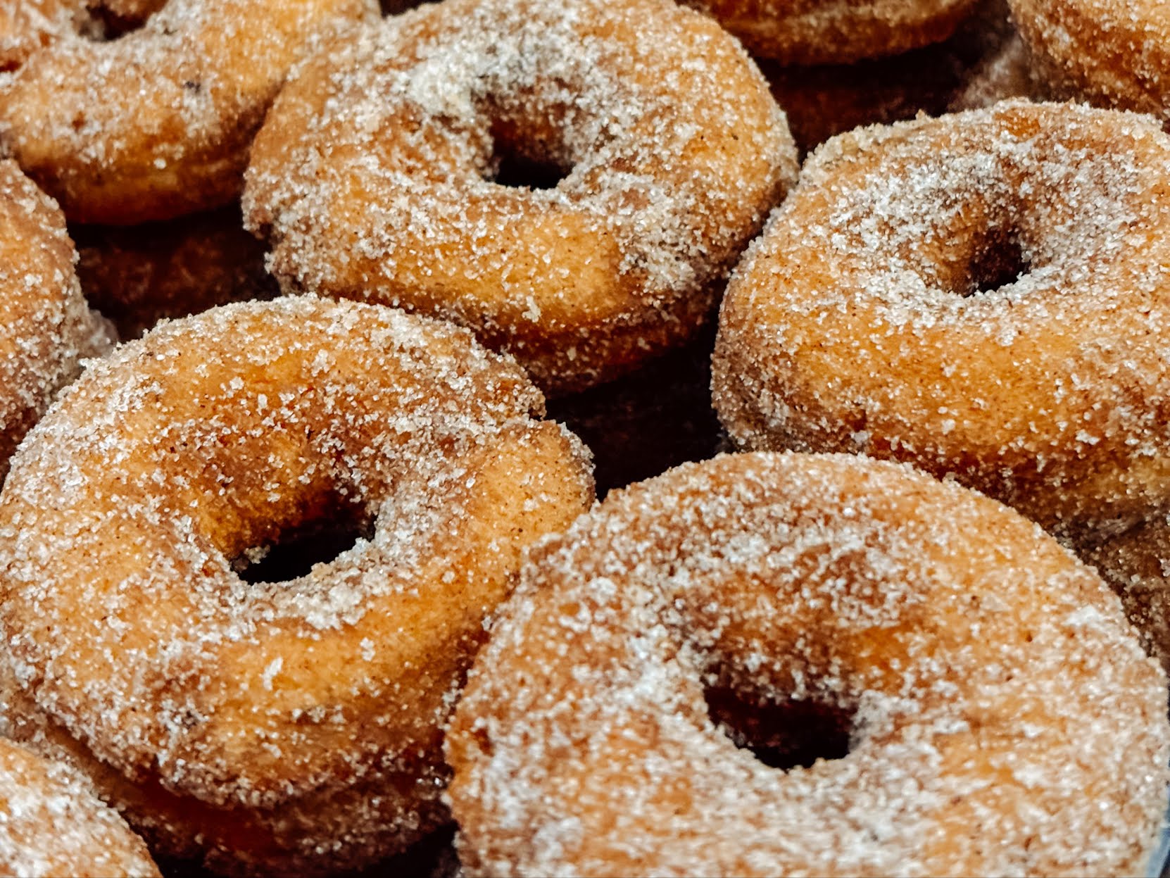 Red Apple Farm @ Boston Public Market by null