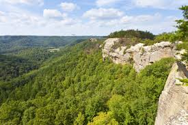 Red River Gorge Geological Area Landscaping & Tree Service 