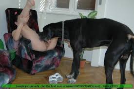 Canines bilara dog sex animals fucking humans petsex com siterip zoo porn dog sex jpg x Human and animal sex