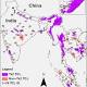 Wild tiger future more promising likelihood of doubling population by 2022 