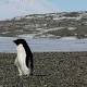 Detailed look at the global warming 'hiatus' again confirms that humans are changing the climate 