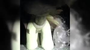 Mlp porn videos watch online or download png x Mlp pmv hub