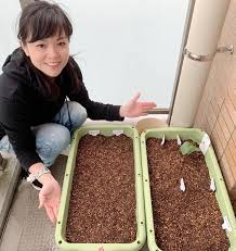 坂本冬美アイコラ|Amazon.co.jp: CDもしも明日が 三木たかしトリビュート中森明菜 内藤やす子 坂本冬美 藤あや子 憂歌団 水前寺清子 レーモンド松屋  吉木りさ他 : おもちゃ