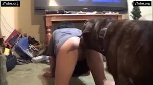 Work it wanda dog sex movie jpg x Art of zoo videos