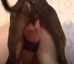 Intimate moments in animal porn movies artofzoo home of animal porn jpg x Girl animal