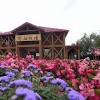 北海道民が嫌う「花畑牧場」、ベトナム人従業員の雇い止め＆スト ...