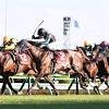 【セントライト記念】アサマノイタズラ鬼の差し切りＶ 初コンビ ...