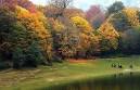 Image result for u202bجنگل النگدرهu202c