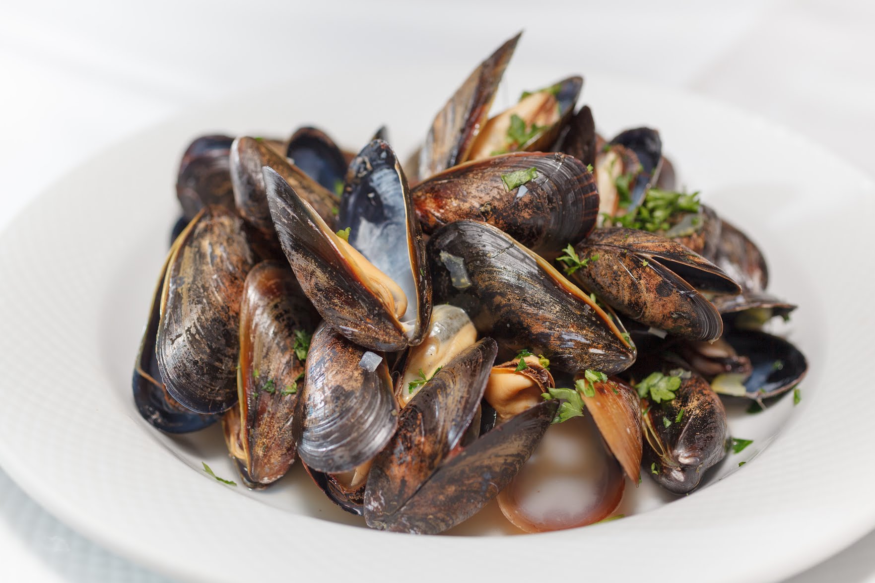 Chateau West by null