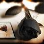 Image result for u202bکانال عکس پروفايل خفنu202c