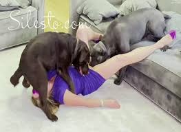 White women fuck dogs its what they do trumpgod lui vlkfa jpg x Women fucking dogs