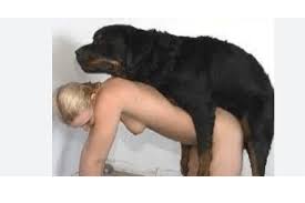 Ced cee ddasian fuck dog gaybeast com siterip jpg x Asian fucks dog