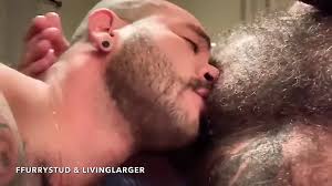 Urso gay jpg x Urso gay