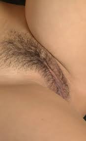 Egndhgaaaa ezpqyezczonvlouc jpg x Close up hairy pussy