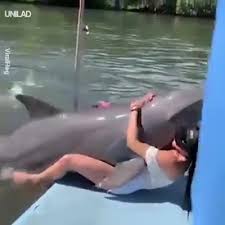 Dolphin cock petlust zoophilia porn with men extrem sex and taboo porn jpg x Fucks dolphin