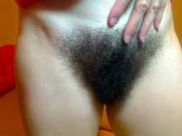 Hairy bush jpg x Hairy bush