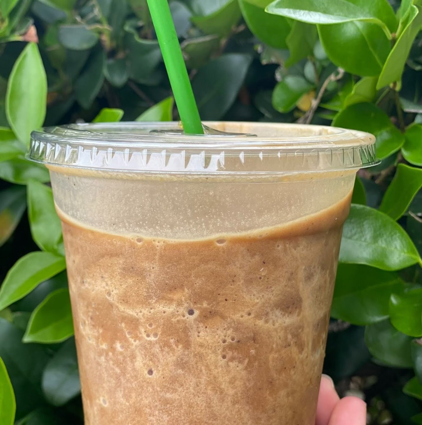 Green Fork & Straw by null