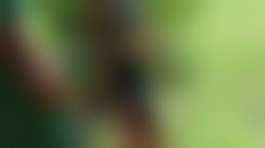 cock in hand of girl public|Ashley Storm Milks a 10-Inch Cock In Public - Teen Tugs