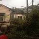 Trees down, some trains suspended after intense Brisbane storm 