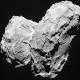 Space probe confirms chemicals of life in comet's halo 